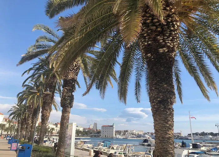 Vip Frühstückspension 4*